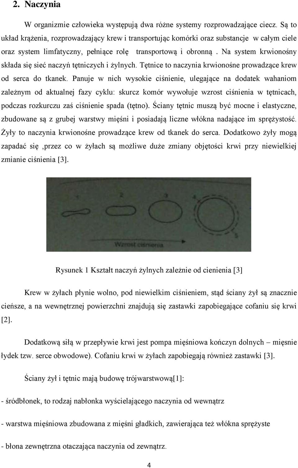 Na system krwionośny składa się sieć naczyń tętniczych i żylnych. Tętnice to naczynia krwionośne prowadzące krew od serca do tkanek.