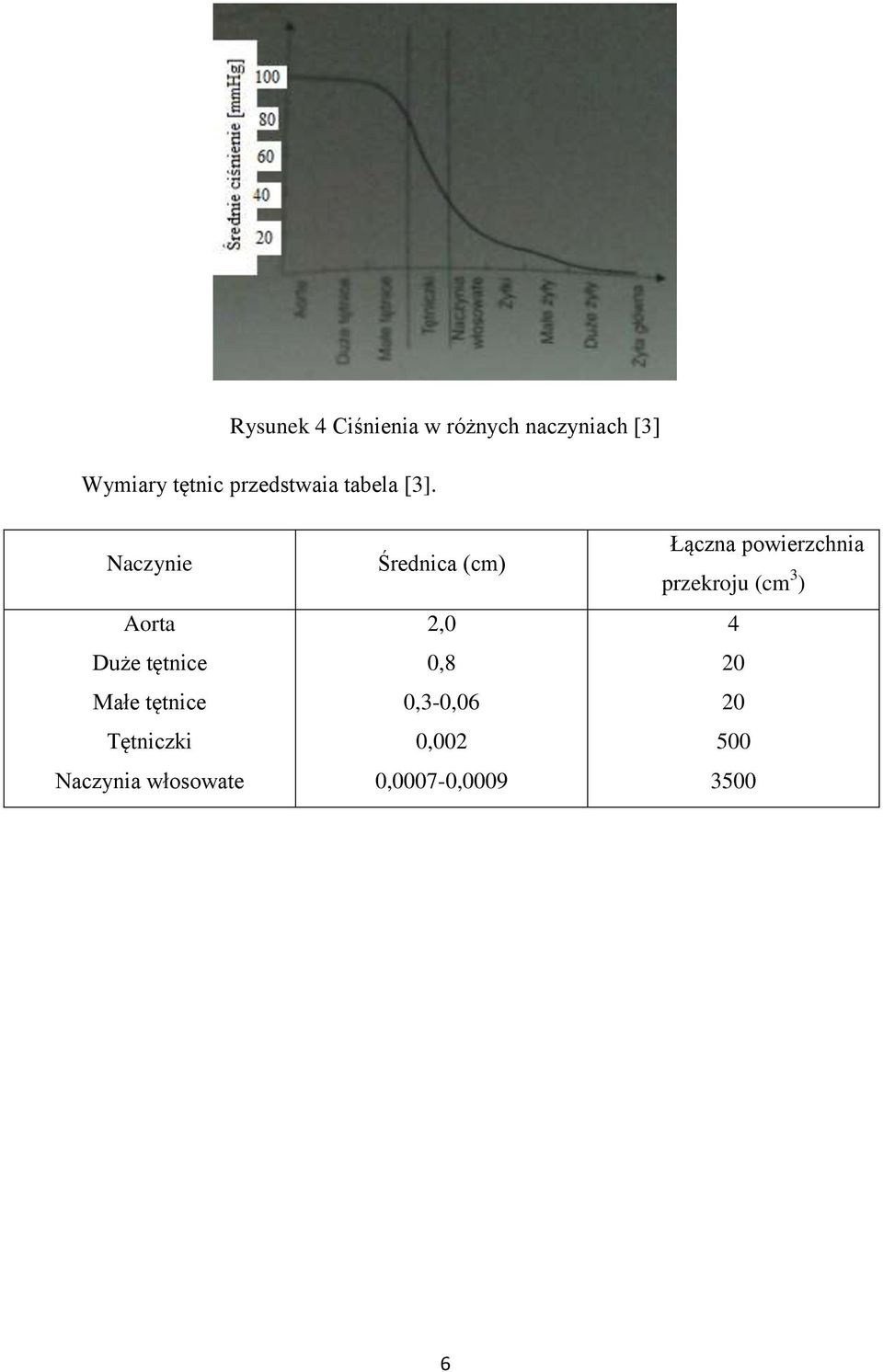 Naczynie Aorta Duże tętnice Małe tętnice Tętniczki Naczynia