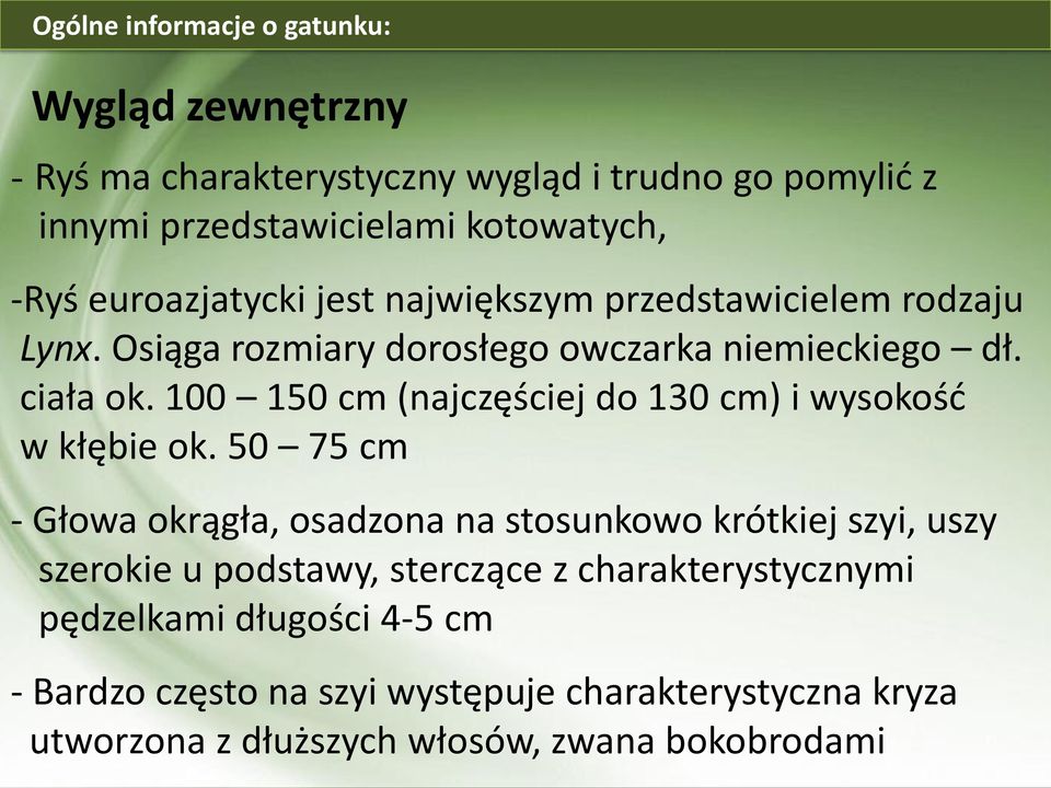 100 150 cm (najczęściej do 130 cm) i wysokość w kłębie ok.