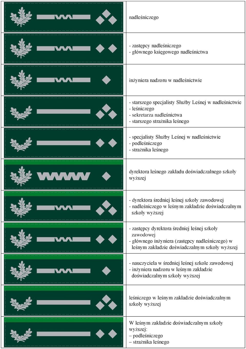 średniej leśnej szkoły zawodowej - nadleśniczego w leśnym zakładzie doświadczalnym szkoły wyższej - zastępcy dyrektora średniej leśnej szkoły zawodowej - głównego inżyniera (zastępcy nadleśniczego) w