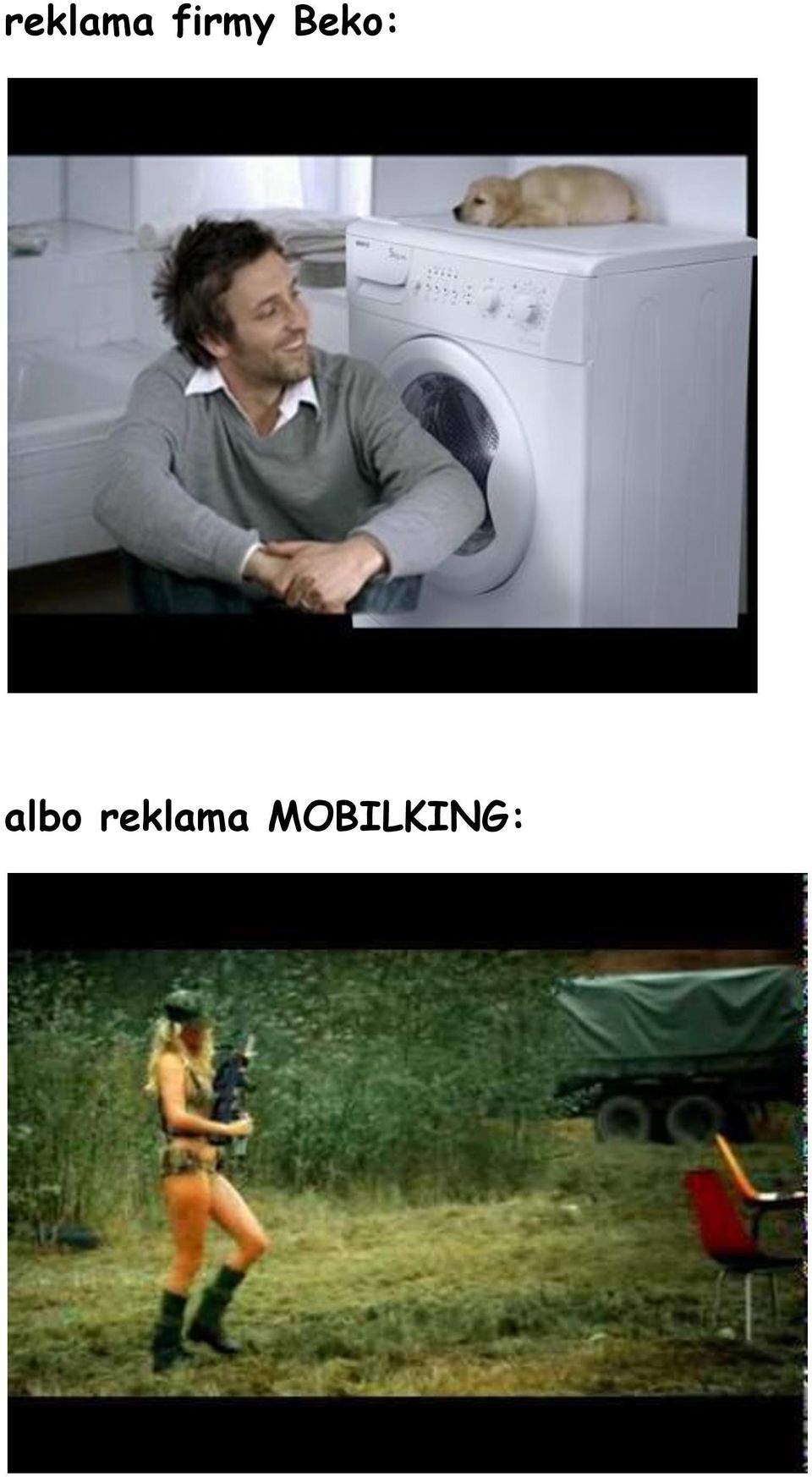 Beko: albo