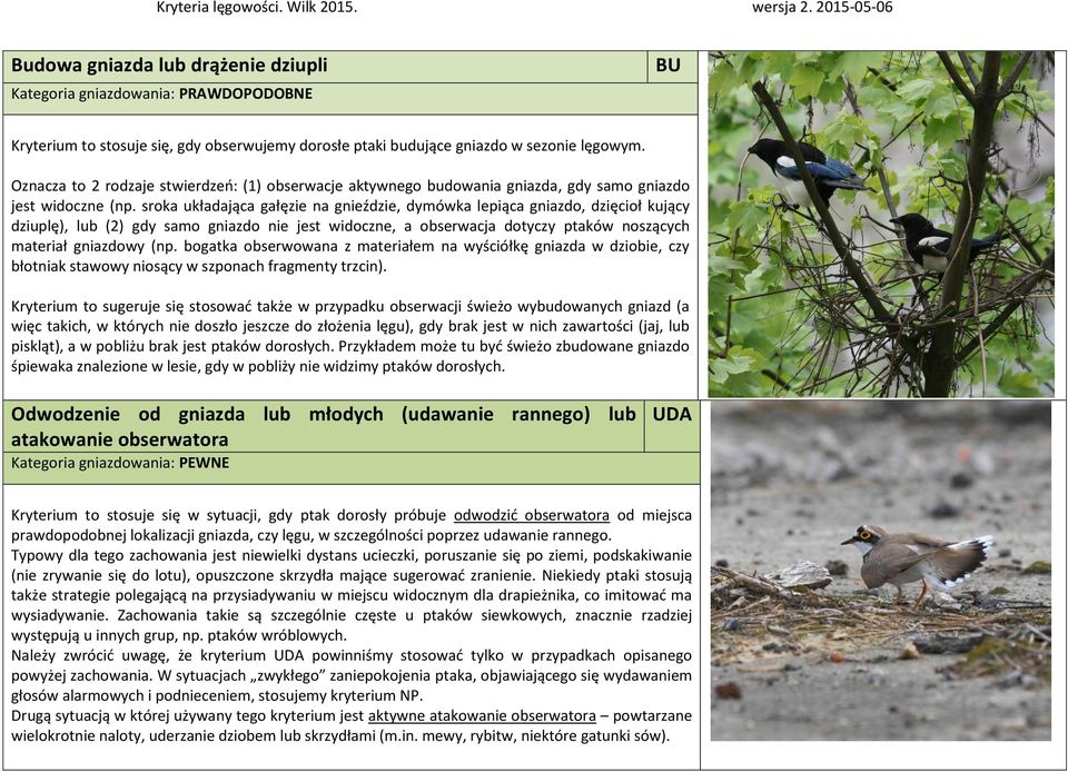sroka układająca gałęzie na gnieździe, dymówka lepiąca gniazdo, dzięcioł kujący dziuplę), lub (2) gdy samo gniazdo nie jest widoczne, a obserwacja dotyczy ptaków noszących materiał gniazdowy (np.