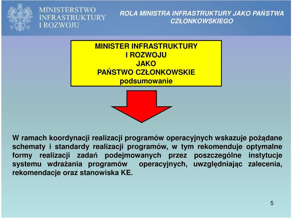 standardy realizacji programów, w tym rekomenduje optymalne formy realizacji zadań podejmowanych przez