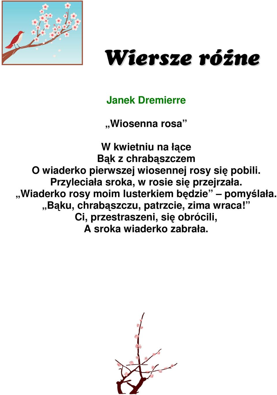 Przyleciała sroka, w rosie się przejrzała.