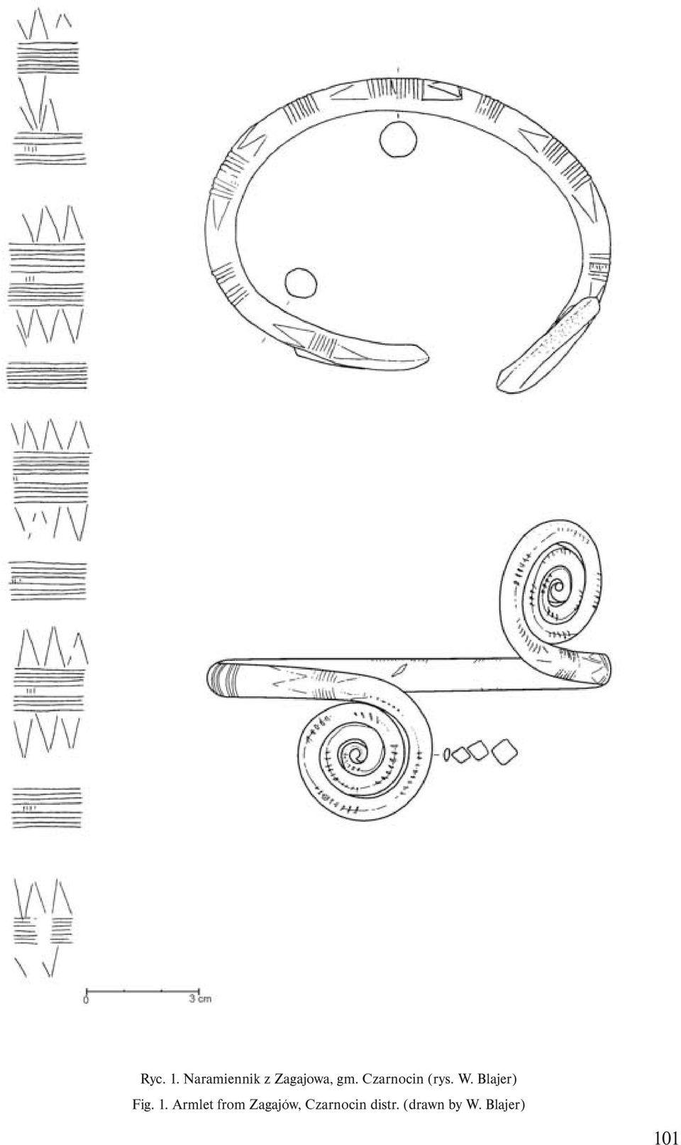 Czarnocin (rys. W. Blajer) Fig. 1.