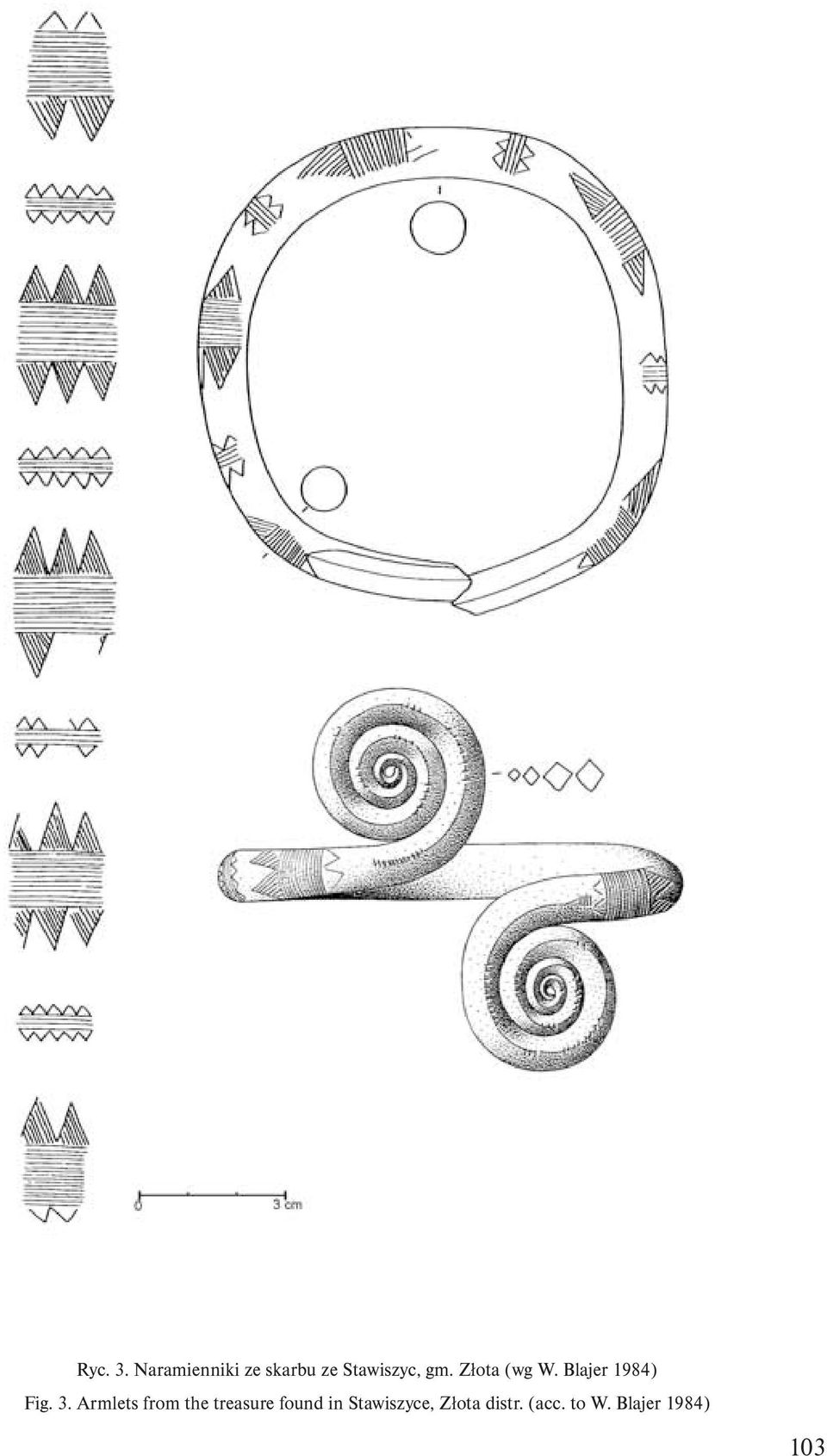 Złota (wg W. Blajer 1984) Fig. 3.