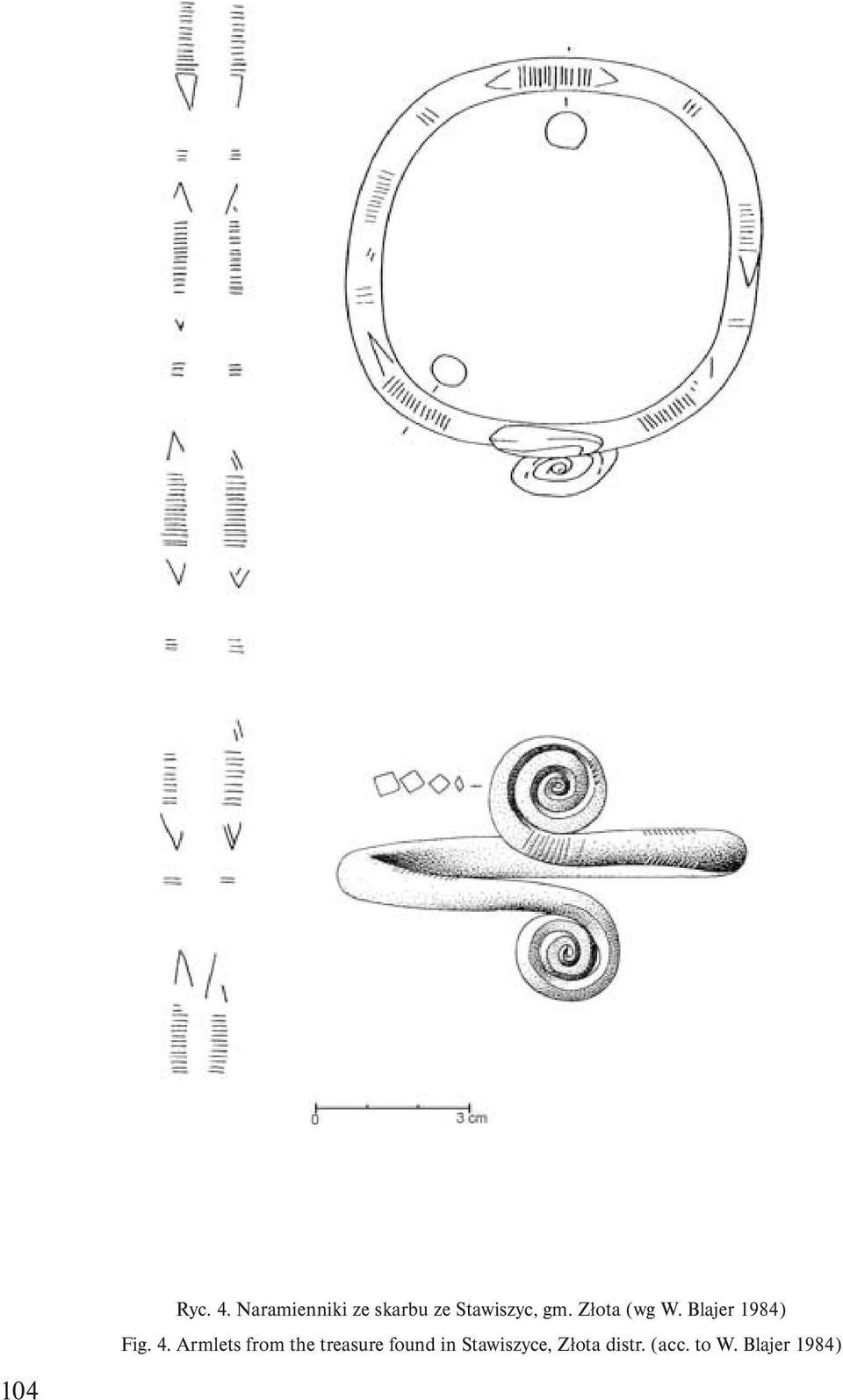 Złota (wg W. Blajer 1984) Fig. 4.