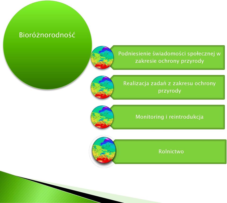 ochrony przyrody Realizacja zadań z
