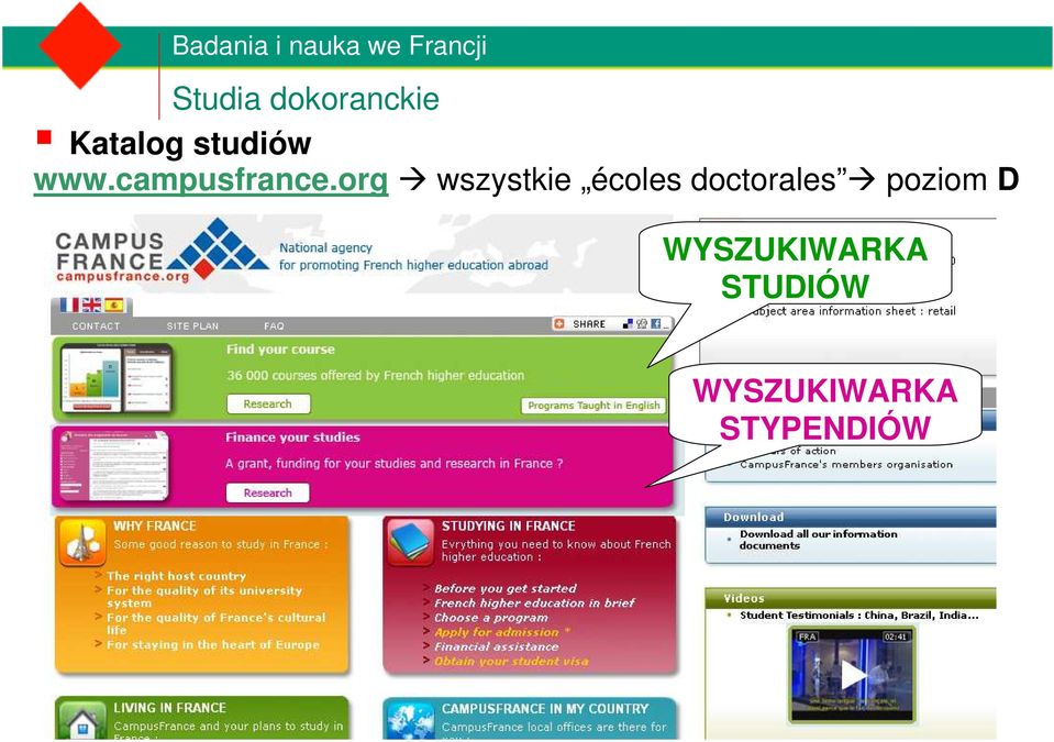 org wszystkie écoles doctorales