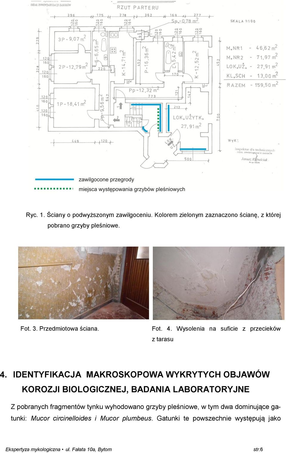 IDENTYFIKACJA MAKROSKOPOWA WYKRYTYCH OBJAWÓW KOROZJI BIOLOGICZNEJ, BADANIA LABORATORYJNE Z pobranych fragmentów