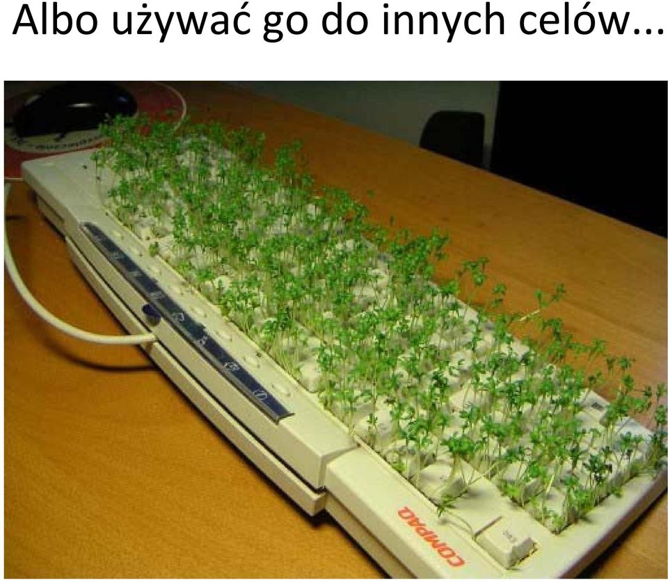 do innych