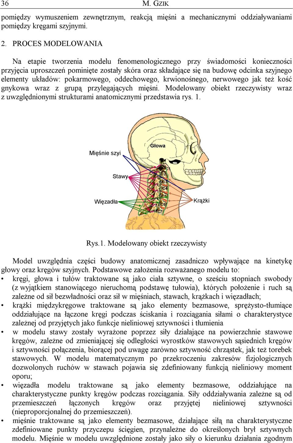 układów: pokarmowego, oddechowego, krwionośnego, nerwowego jak też kość gnykowa wraz z grupą przylegających mięśni.