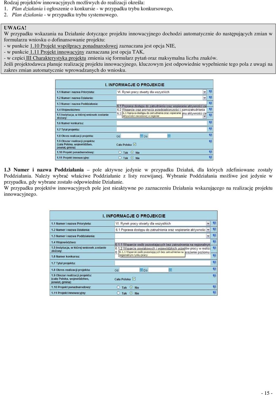 10 Projekt współpracy ponadnarodowej zaznaczana jest opcja NIE, - w punkcie 1.