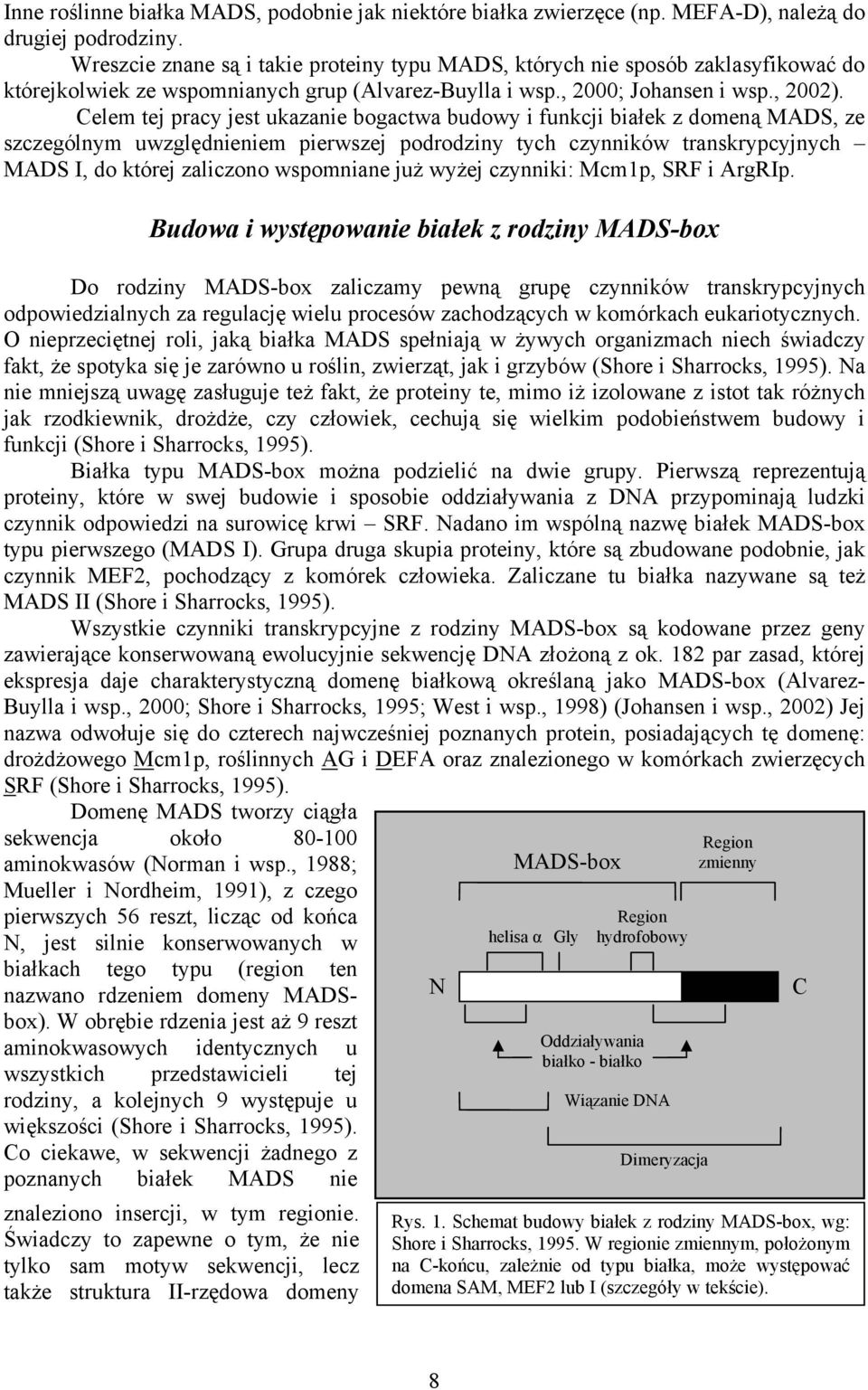 Celem tej pracy jest ukazanie bogactwa budowy i funkcji białek z domeną MADS, ze szczególnym uwzględnieniem pierwszej podrodziny tych czynników transkrypcyjnych MADS I, do której zaliczono wspomniane