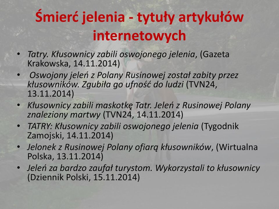 2014) Kłusownicy zabili maskotkę Tatr. Jeleń z Rusinowej Polany znaleziony martwy (TVN24, 14.11.