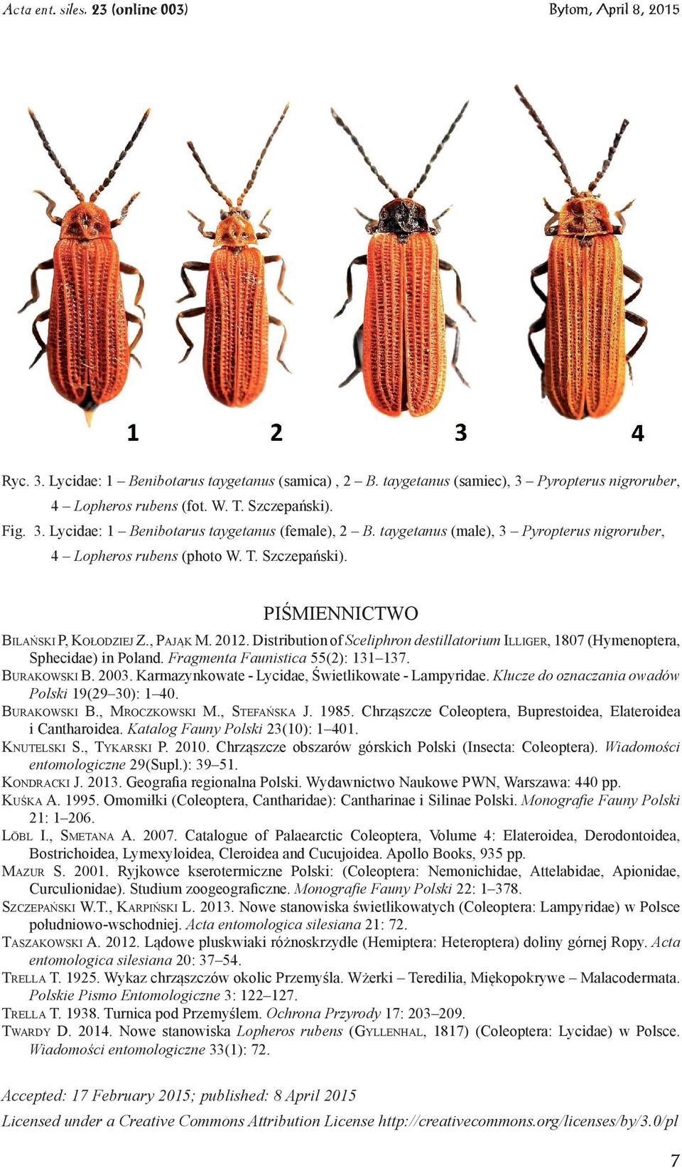 Distribution of Sceliphron destillatorium Illiger, 1807 (Hymenoptera, Sphecidae) in Poland. Fragmenta Faunistica 55(2): 131 137. Burakowski B. 2003.