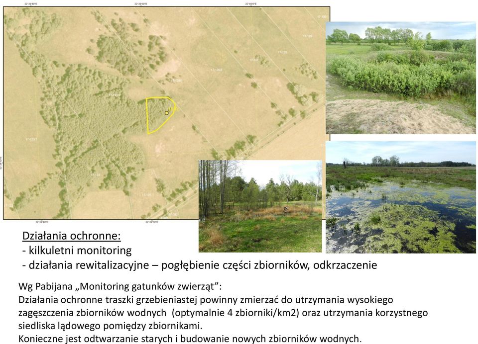 zmierzać do utrzymania wysokiego zagęszczenia zbiorników wodnych (optymalnie 4 zbiorniki/km2) oraz utrzymania