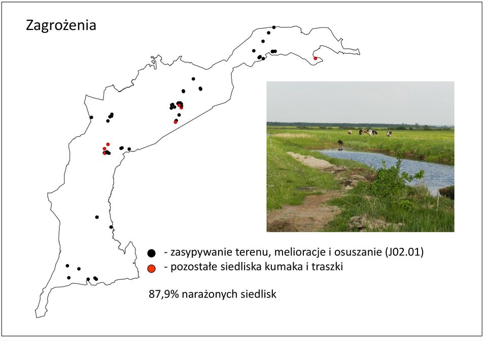 01) - pozostałe siedliska kumaka