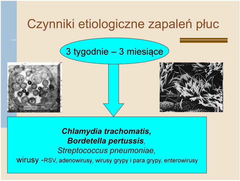 Streptococcus pneumoniae, wirusy -RSV,