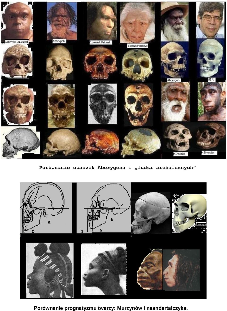 archaicznych Porównanie