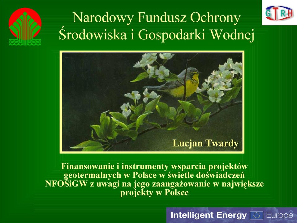 projektów geotermalnych w Polsce w świetle doświadczeń