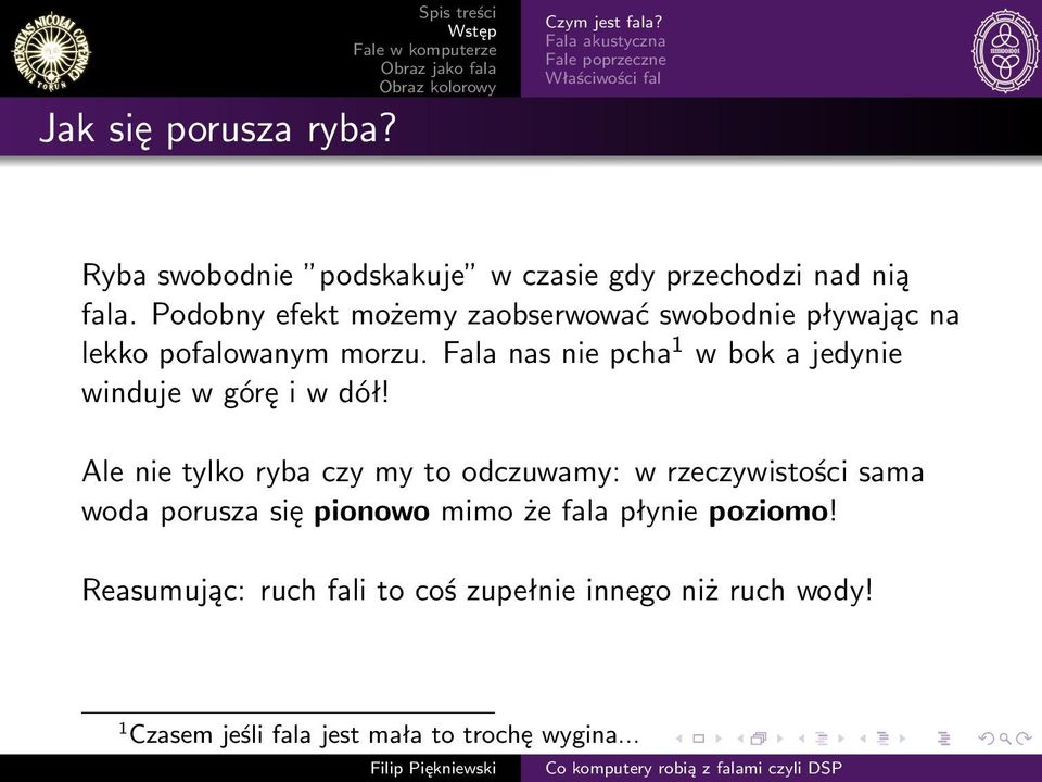 Podobny efekt możemy zaobserwować swobodnie pływając na lekko pofalowanym morzu.