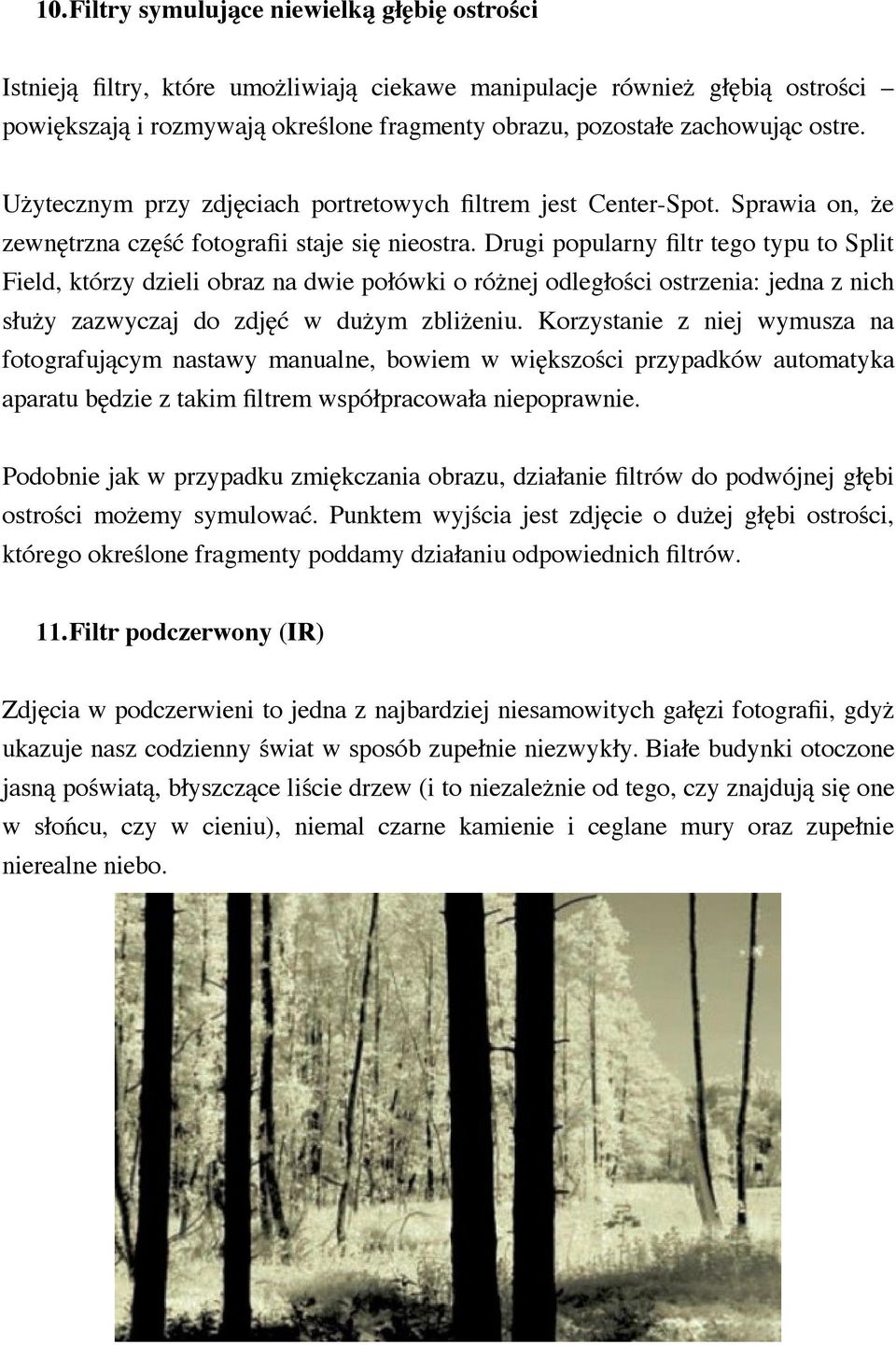 Drugi popularny filtr tego typu to Split Field, którzy dzieli obraz na dwie połówki o różnej odległości ostrzenia: jedna z nich służy zazwyczaj do zdjęć w dużym zbliżeniu.