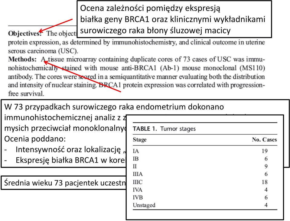 (Ab-1) mysich przeciwciał monoklonalnych (MS110) Ocenia poddano: - Intensywność oraz lokalizację świecenia kompleksów