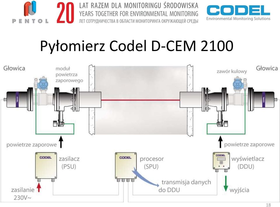 D-CEM