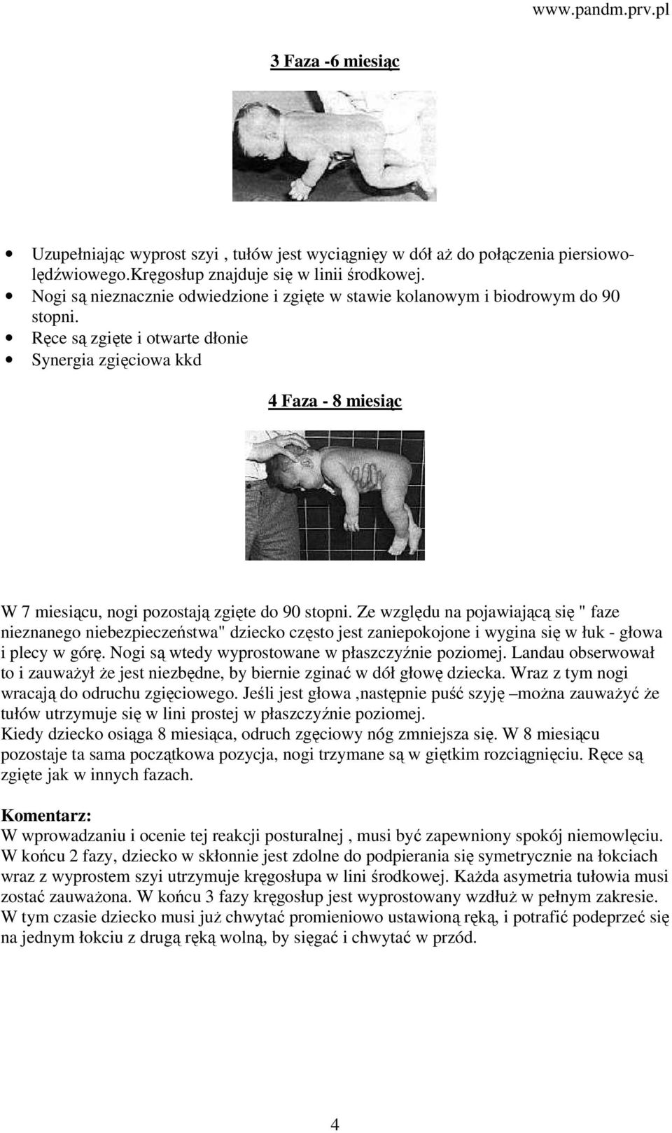 Ręce są zgięte i otwarte dłonie Synergia zgięciowa kkd 4 Faza - 8 miesiąc W 7 miesiącu, nogi pozostają zgięte do 90 stopni.