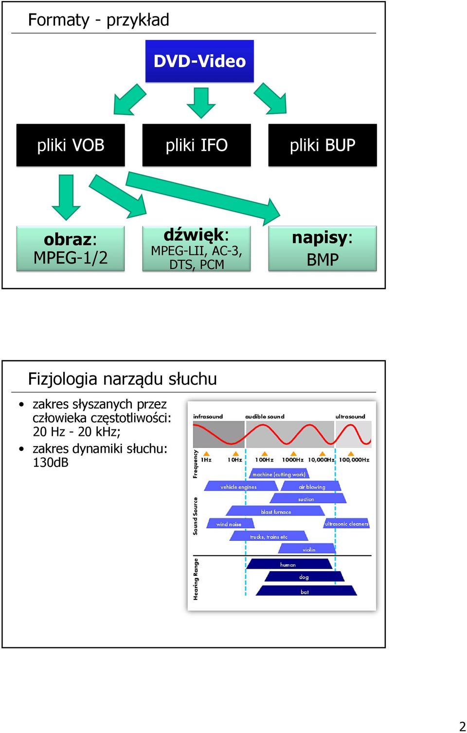 Fizjologia narządu słuchu zakres słyszanych przez człowieka