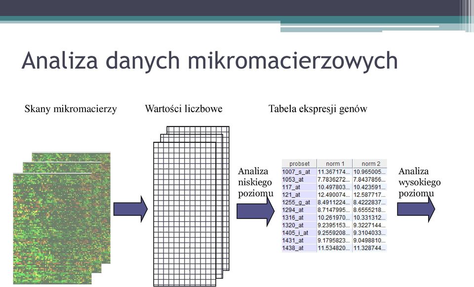 liczbowe Tabela ekspresji genów