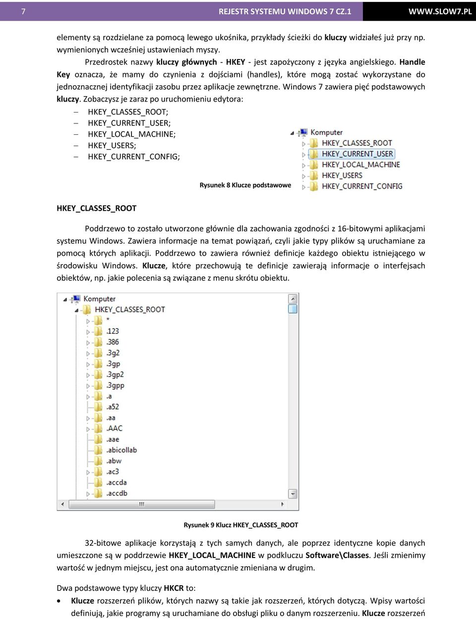 Handle Key oznacza, że mamy do czynienia z dojściami (handles), które mogą zostać wykorzystane do jednoznacznej identyfikacji zasobu przez aplikacje zewnętrzne.