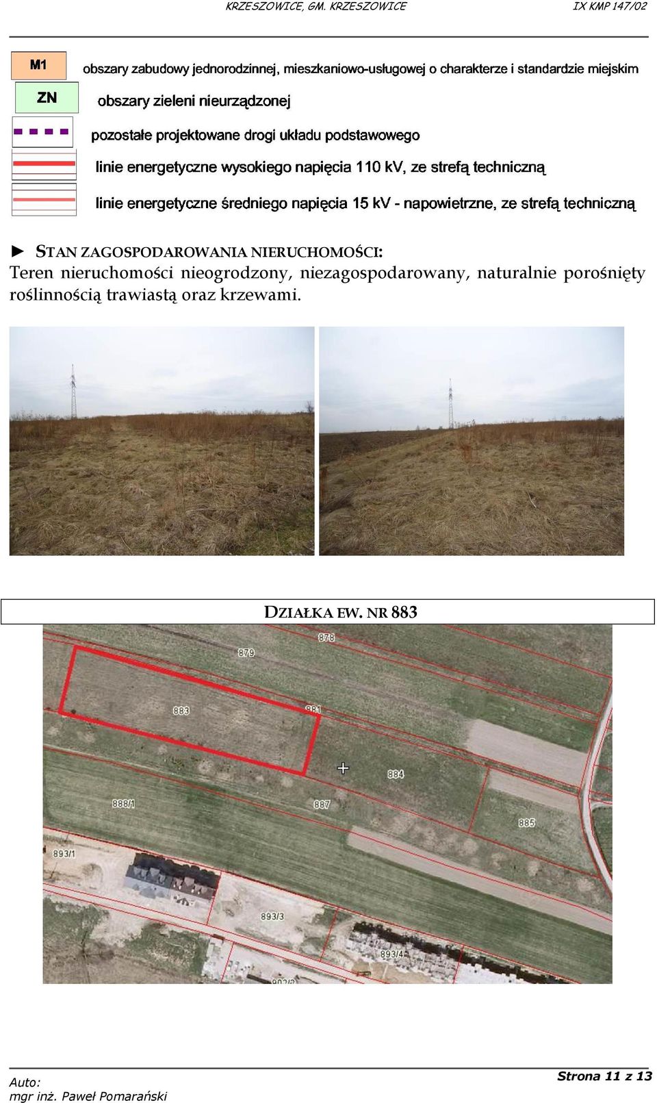 niezagospodarowany, naturalnie porośnięty