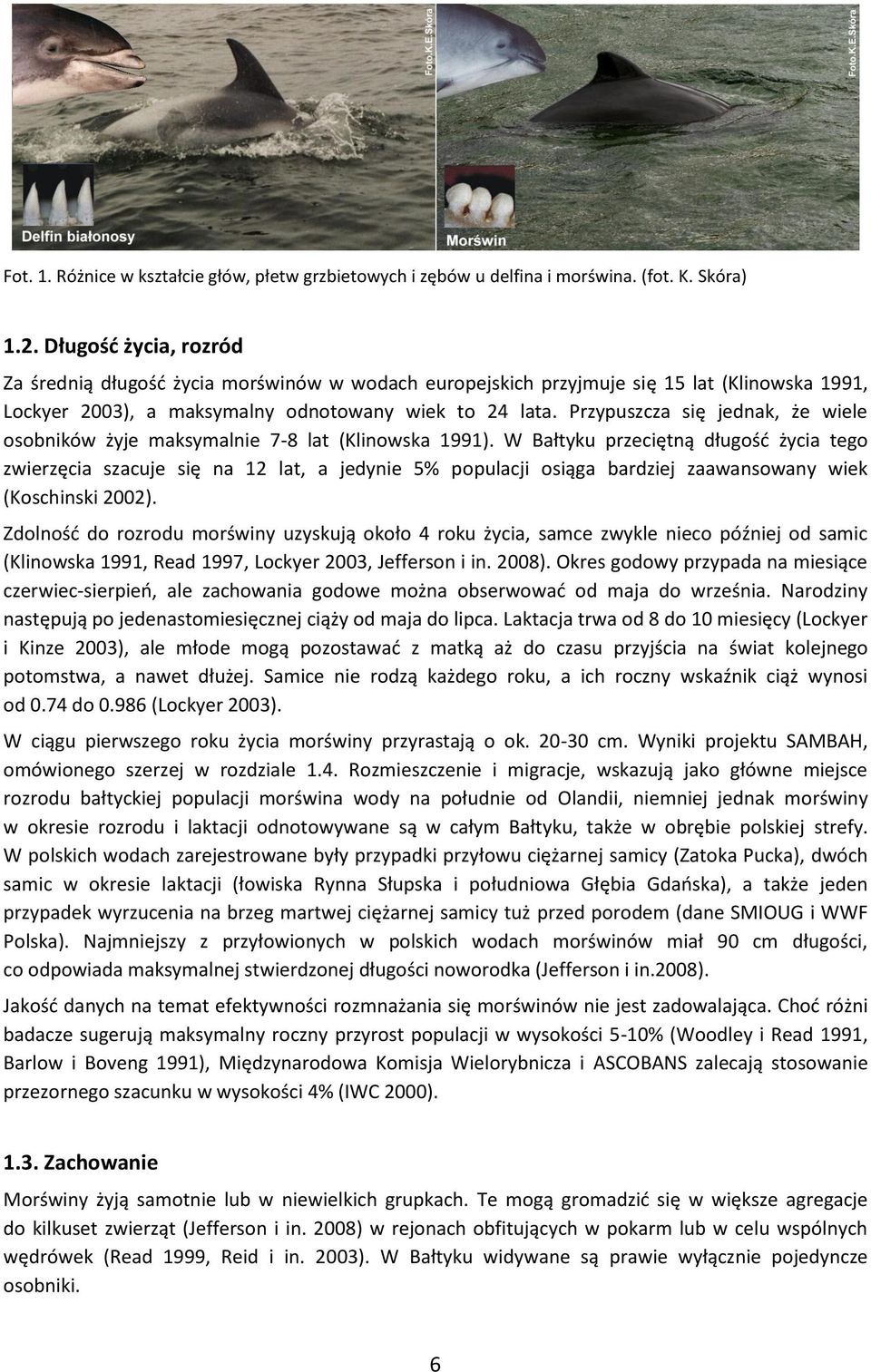 Przypuszcza się jednak, że wiele osobników żyje maksymalnie 7-8 lat (Klinowska 1991).