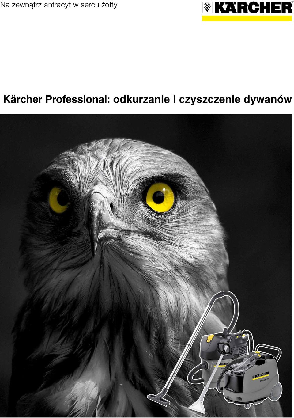 Professional: