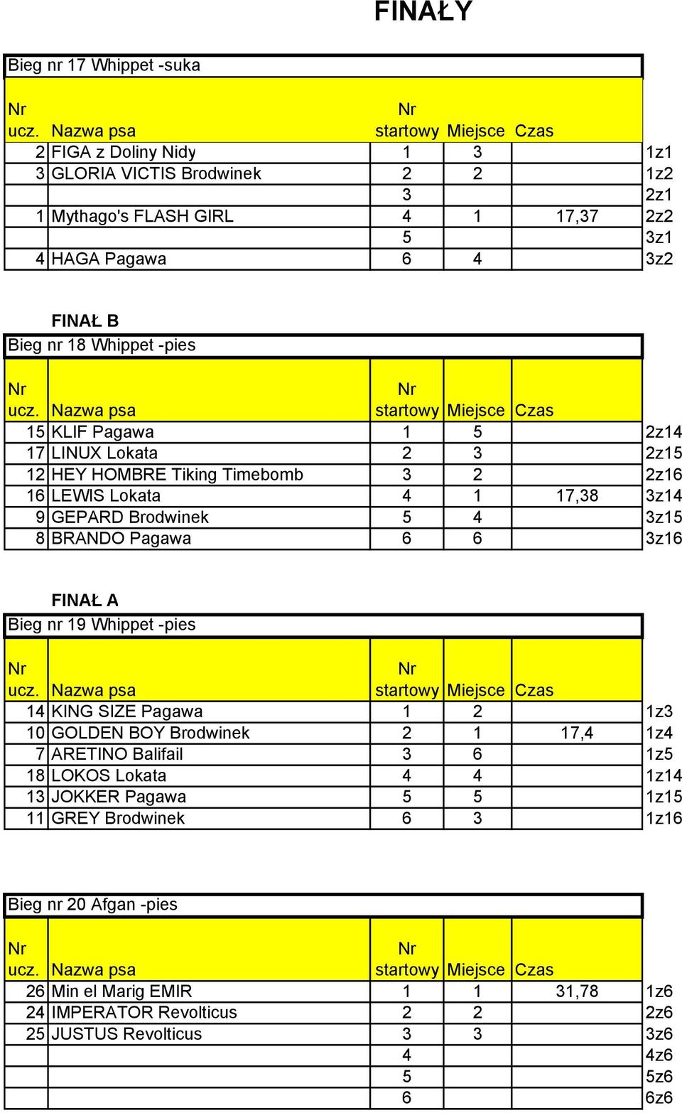 BRANDO Pagawa 3z1 FINAŁ A Bieg nr 19 Whippet -pies 1 KING SIZE Pagawa 1 2 1z3 10 GOLDEN BOY Brodwinek 2 1 17, 1z 7 ARETINO Balifail 3 1z 18 LOKOS Lokata 1z1