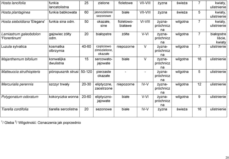 białopstre żółte V-VI żyzpróchnicz 40-60 częściowo zimozielone, okazałe 15 sercowatojajowate Matteuccia struthiopteris pióropusznik strusi 50-120 pierzaste okazałe Mercurialis perennis szczyr trwały