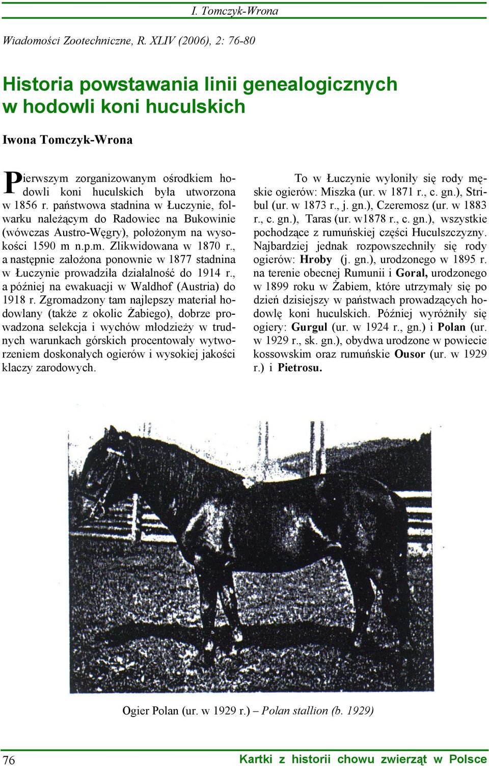 państwowa stadnina w Łuczynie, folwarku należącym do Radowiec na Bukowinie (wówczas Austro-Węgry), położonym na wysokości 1590 m n.p.m. Zlikwidowana w 1870 r.