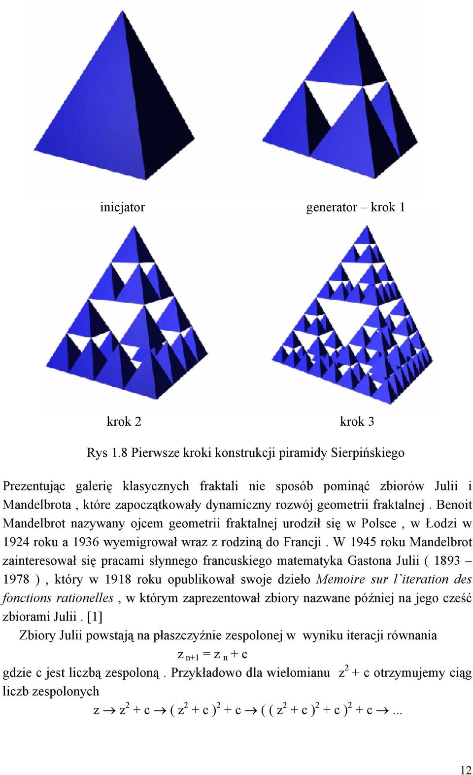 fraktalnej. Benoit Mandelbrot nazywany ojcem geometrii fraktalnej urodził się w Polsce, w Łodzi w 1924 roku a 1936 wyemigrował wraz z rodziną do Francji.