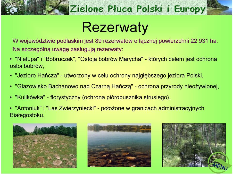bobrów, "Jezioro Hańcza" - utworzony w celu ochrony najgłębszego jeziora Polski, "Głazowisko Bachanowo nad Czarną Hańczą" -