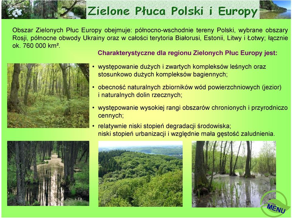 Charakterystyczne dla regionu Zielonych Płuc Europy jest: występowanie dużych i zwartych kompleksów leśnych oraz stosunkowo dużych kompleksów bagiennych;