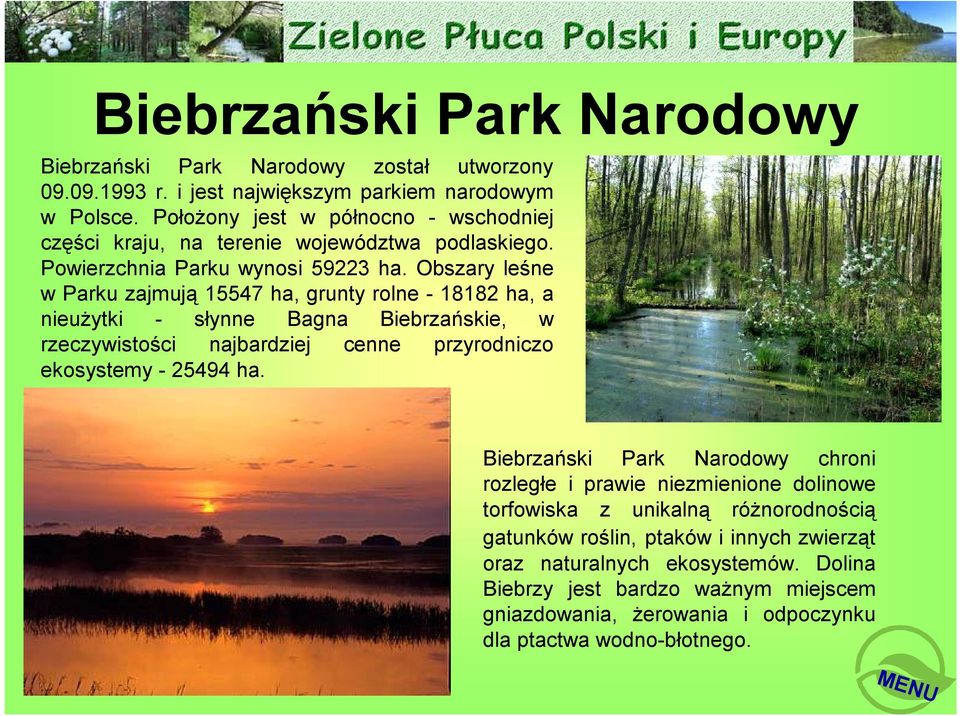 Obszary leśne w Parku zajmują 15547 ha, grunty rolne - 18182 ha, a nieużytki - słynne Bagna Biebrzańskie, w rzeczywistości najbardziej cenne przyrodniczo ekosystemy - 25494 ha.