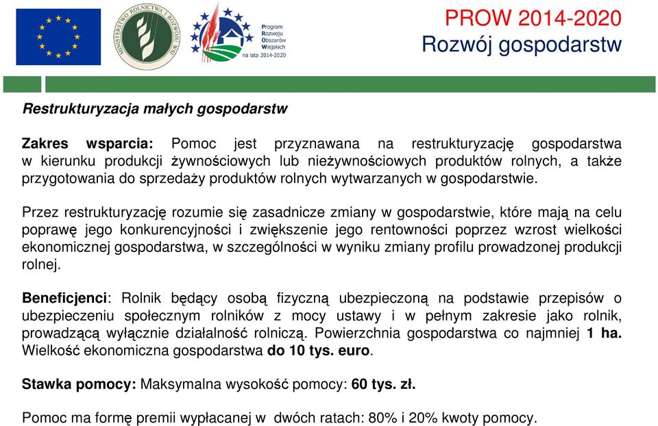 Przez restrukturyzację rozumie się zasadnicze zmiany w gospodarstwie, które mają na celu poprawę jego konkurencyjności i zwiększenie jego rentowności poprzez wzrost wielkości ekonomicznej