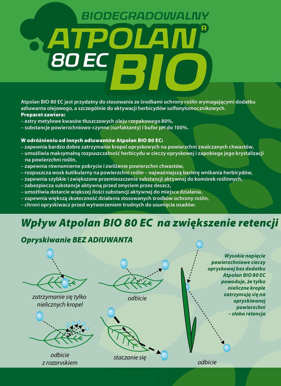 W odróżnieniu od innych adiuwantów Atpolan BIO 80 EC: zapewnia bardzo dobre zatrzymanie kropel opryskowych na powierzchni zwalczanych chwastów, umożliwia maksymalną rozpuszczalność herbicydu w cieczy