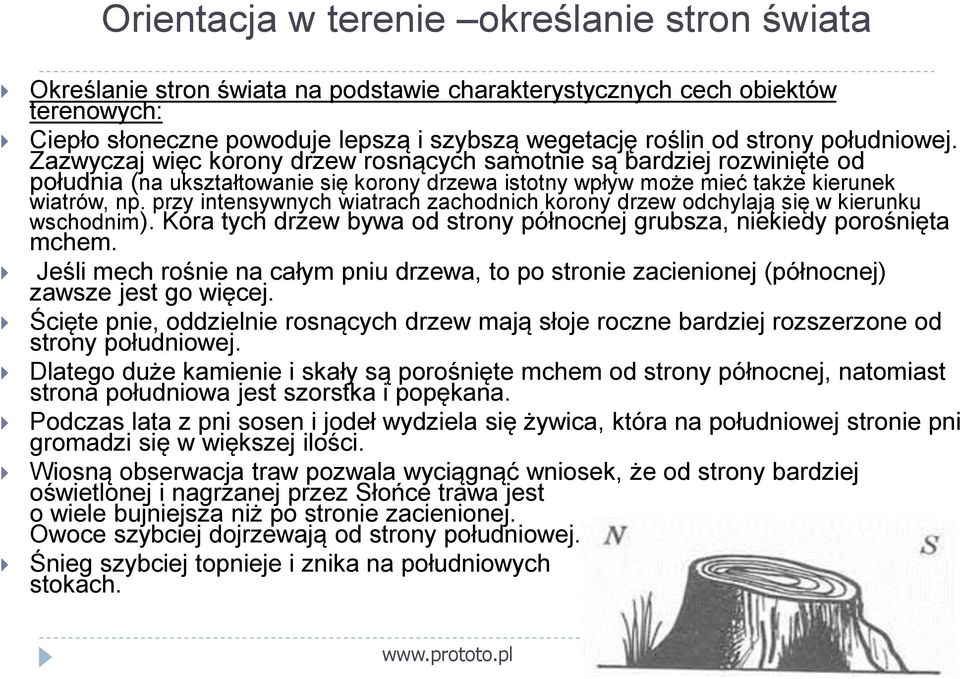 przy intensywnych wiatrach zachodnich korony drzew odchylają się w kierunku wschodnim). Kora tych drzew bywa od strony północnej grubsza, niekiedy porośnięta mchem.