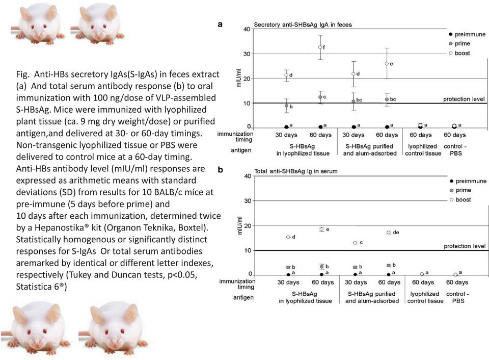 Non-transgenic lyophilized tissue or PBS were delivered to control mice at a 60-day timing.