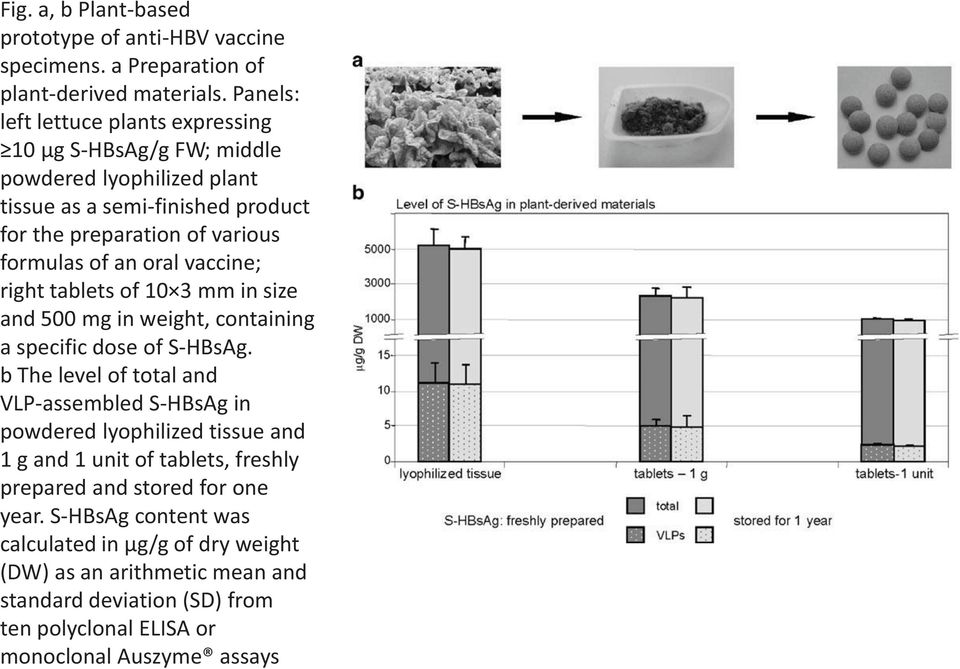 oral vaccine; right tablets of 10 3 mm in size and 500 mg in weight, containing a specific dose of S-HBsAg.