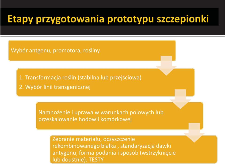 Wybór linii transgenicznej Namnożenie i uprawa w warunkach polowych lub