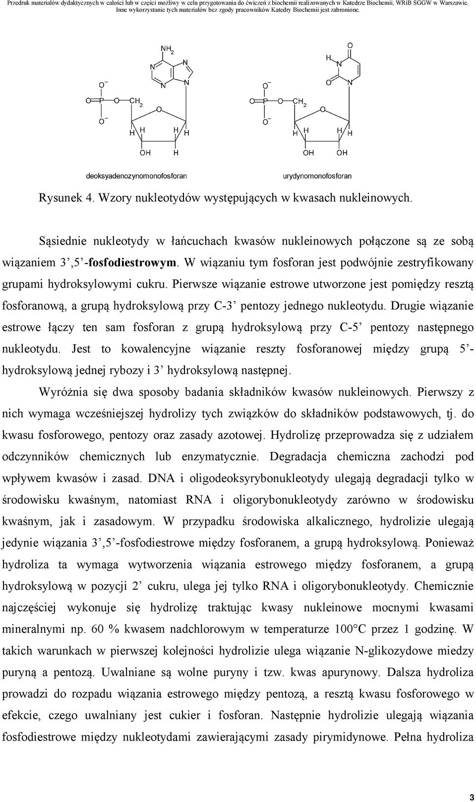 Pierwsze wiązanie estrowe utworzone jest pomiędzy resztą fosforanową, a grupą hydroksylową przy C-3 pentozy jednego nukleotydu.